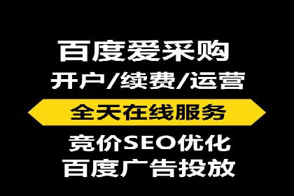 成功运用SEM服务实现品牌快速成长的案例